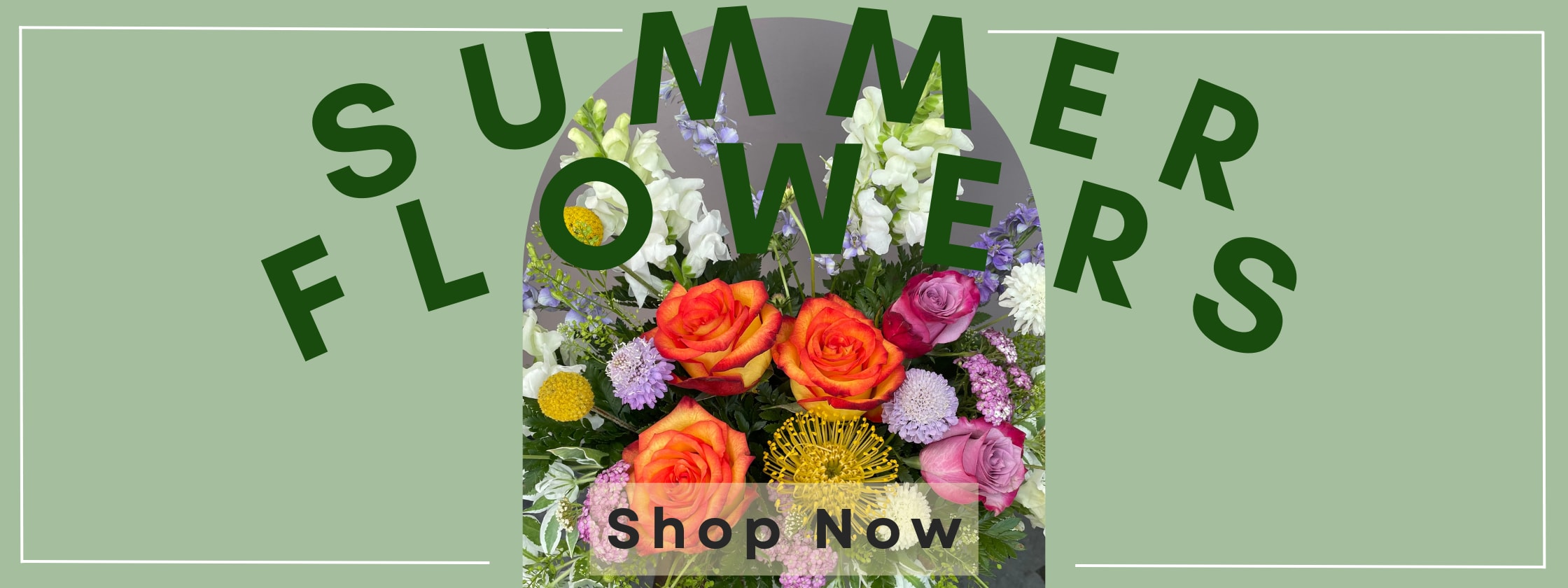Same Day Flower Delivery San Jose Ca Send Flowers Best Flower Site